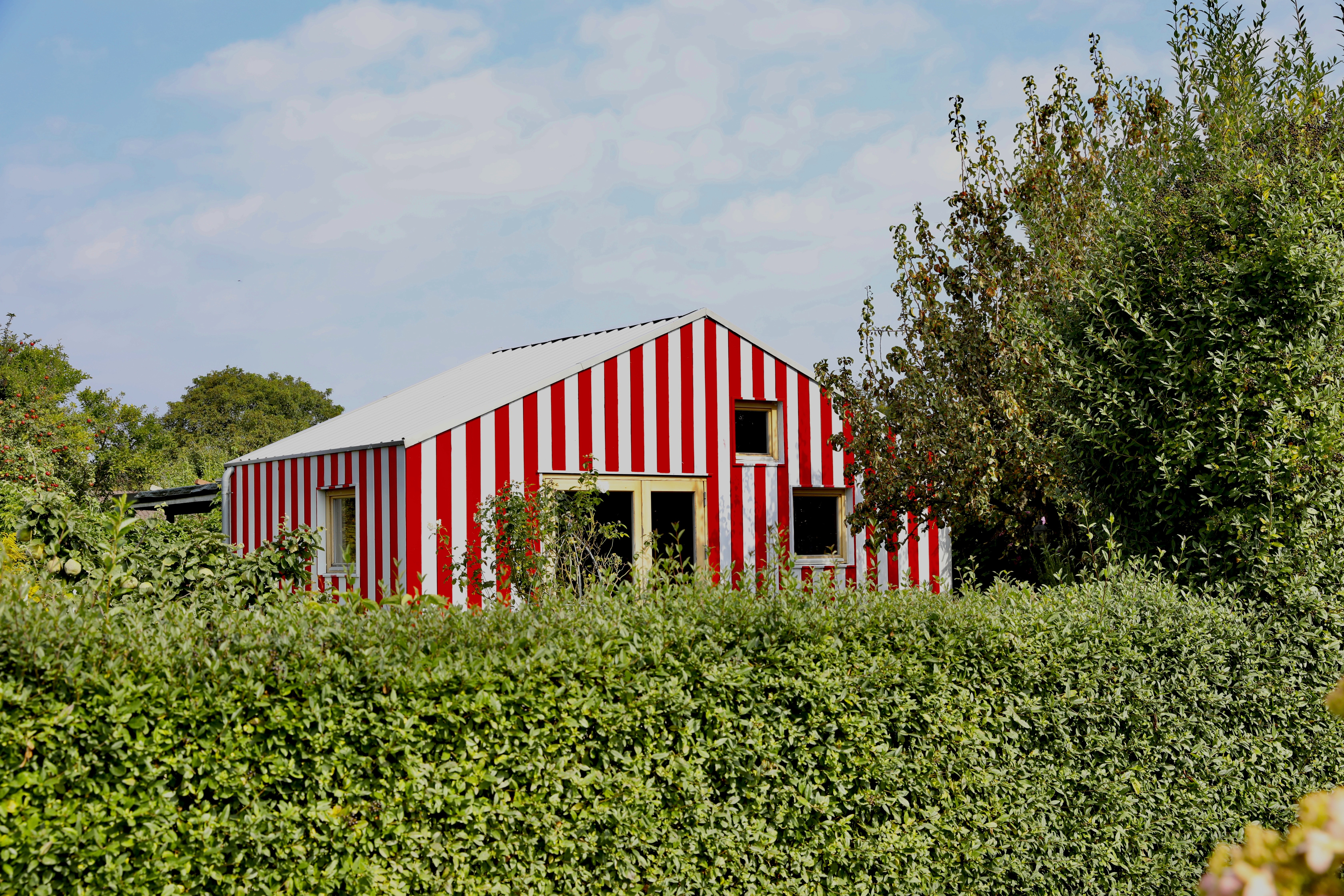 The WorkShed — a red and white striped shed surrounded by greenery